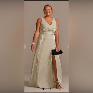 Long formal occasion gown